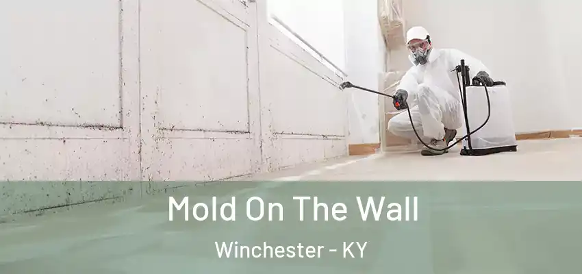  Mold On The Wall Winchester - KY