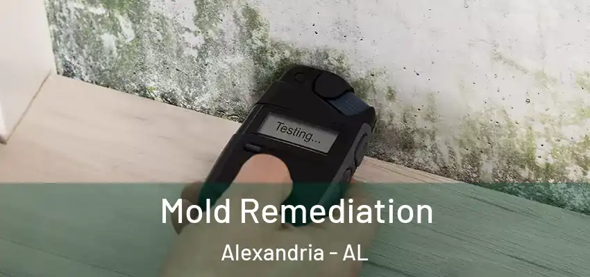 Mold Remediation Alexandria - AL