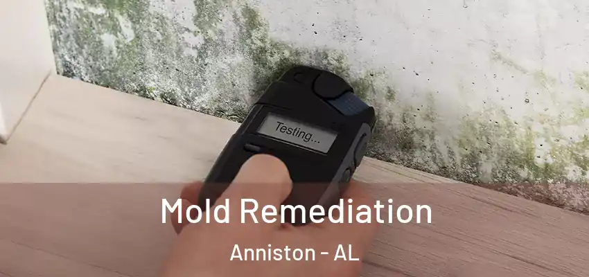 Mold Remediation Anniston - AL