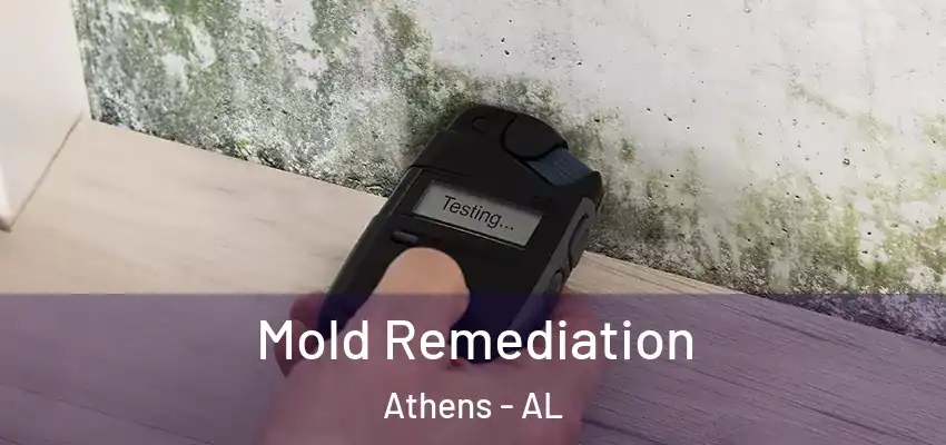 Mold Remediation Athens - AL