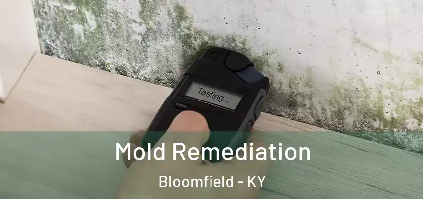  Mold Remediation Bloomfield - KY