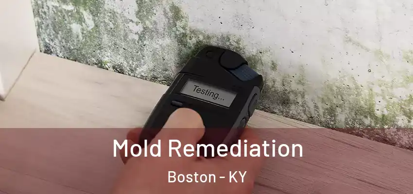  Mold Remediation Boston - KY
