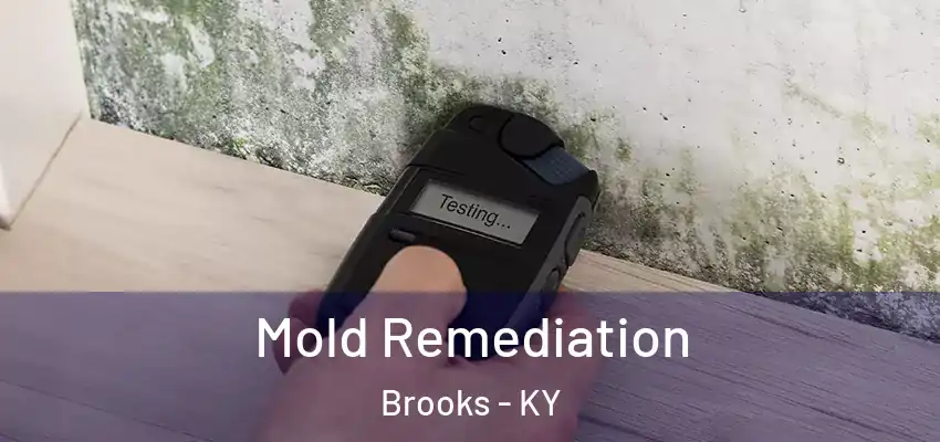  Mold Remediation Brooks - KY