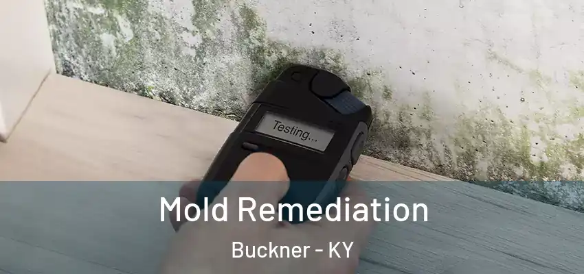  Mold Remediation Buckner - KY