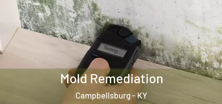 Mold Remediation Campbellsburg - KY