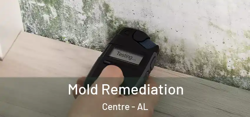  Mold Remediation Centre - AL