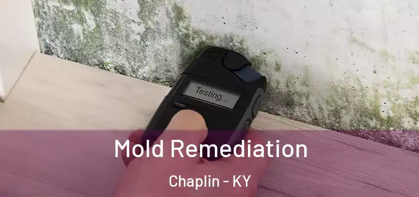 Mold Remediation Chaplin - KY