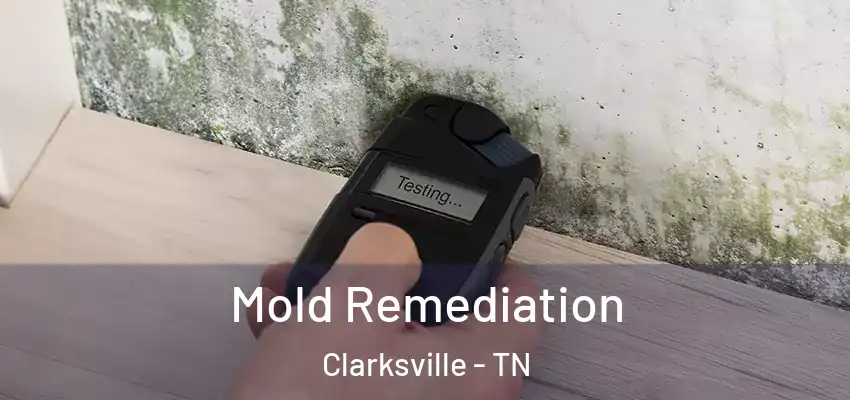  Mold Remediation Clarksville - TN