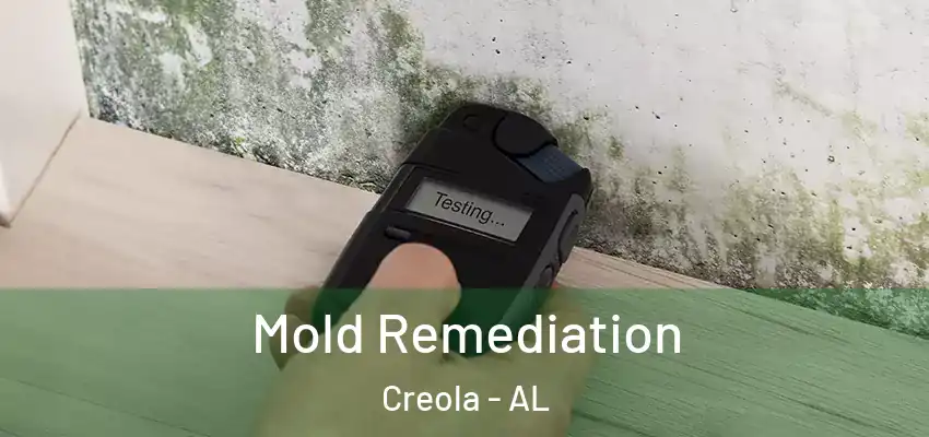 Mold Remediation Creola - AL