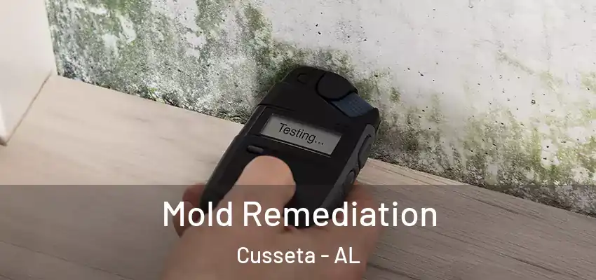  Mold Remediation Cusseta - AL