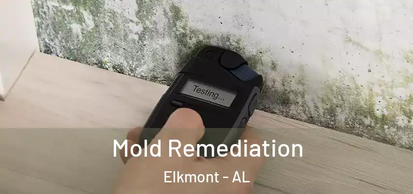  Mold Remediation Elkmont - AL