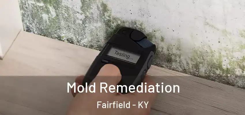 Mold Remediation Fairfield - KY