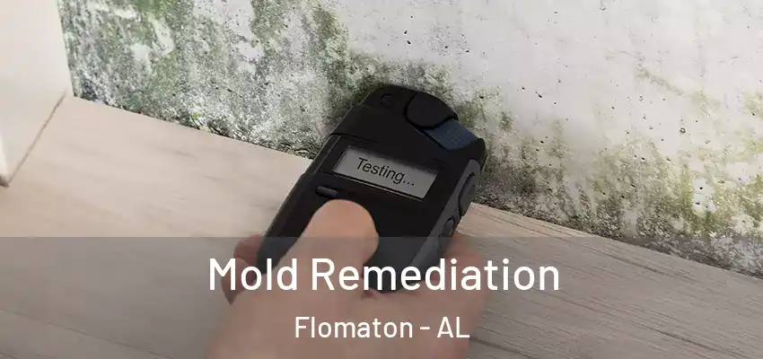  Mold Remediation Flomaton - AL