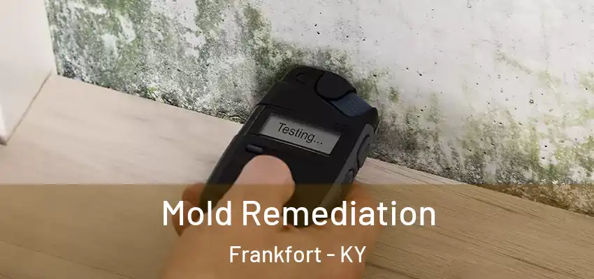 Mold Remediation Frankfort - KY