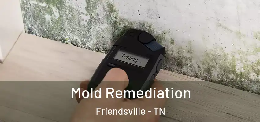 Mold Remediation Friendsville - TN
