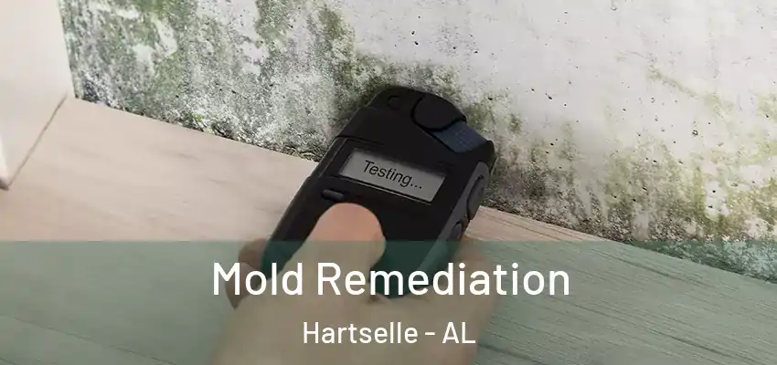 Mold Remediation Hartselle - AL