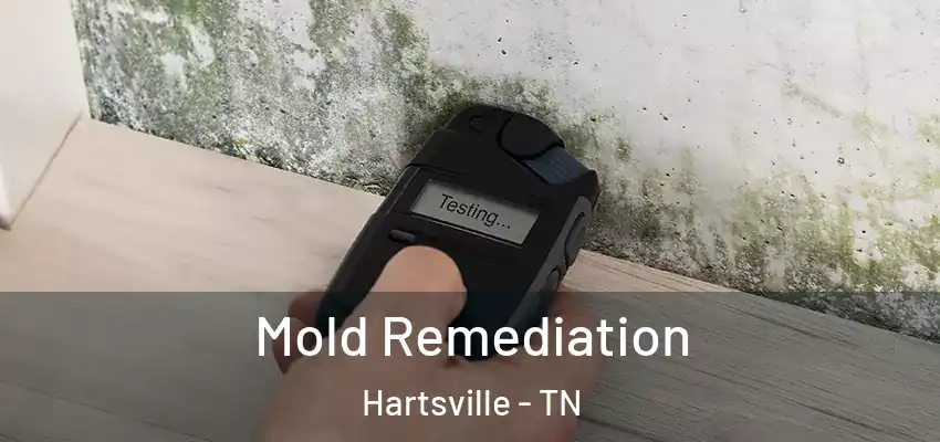 Mold Remediation Hartsville - TN
