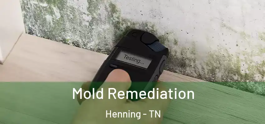  Mold Remediation Henning - TN