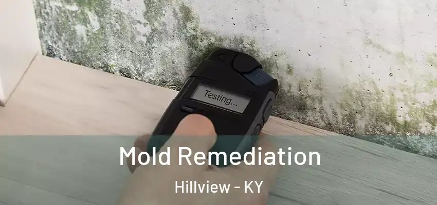  Mold Remediation Hillview - KY