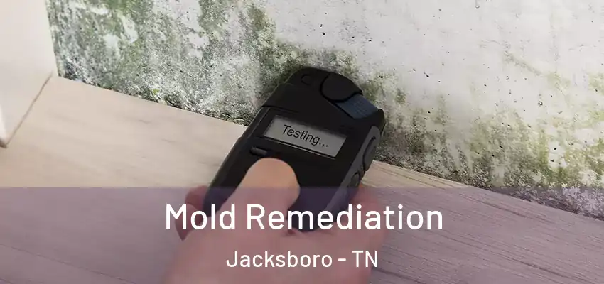  Mold Remediation Jacksboro - TN