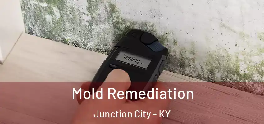  Mold Remediation Junction City - KY