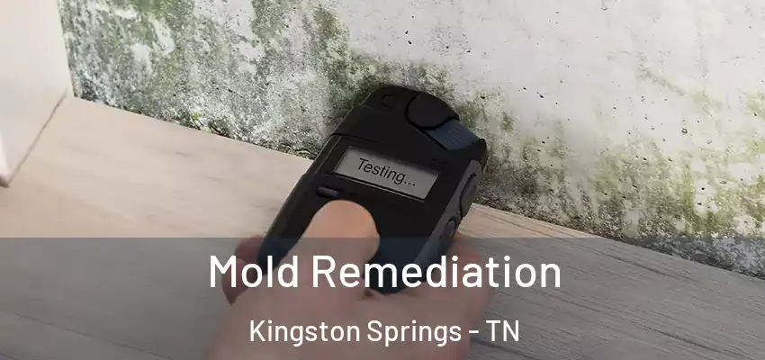  Mold Remediation Kingston Springs - TN