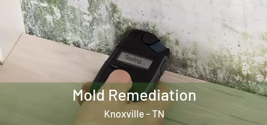  Mold Remediation Knoxville - TN