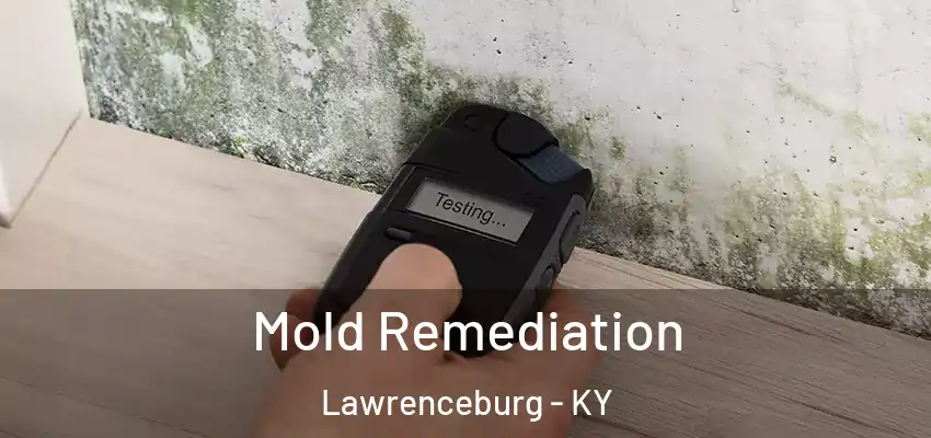 Mold Remediation Lawrenceburg - KY