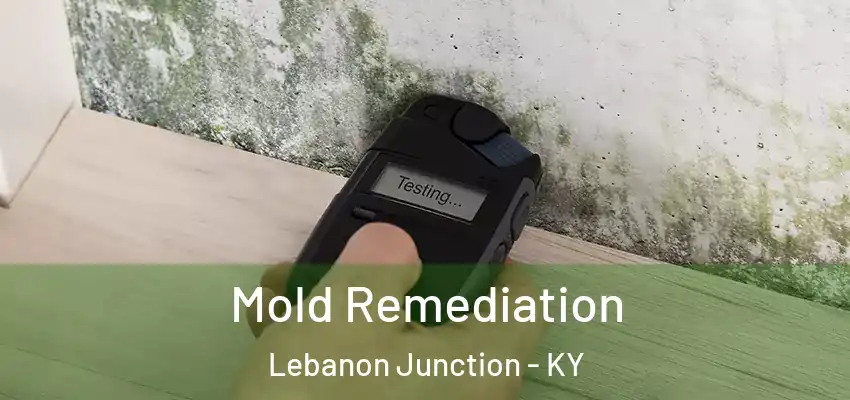  Mold Remediation Lebanon Junction - KY