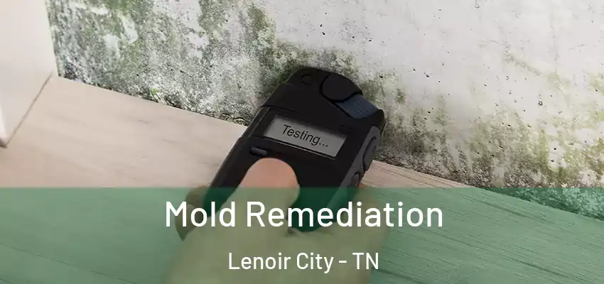Mold Remediation Lenoir City - TN