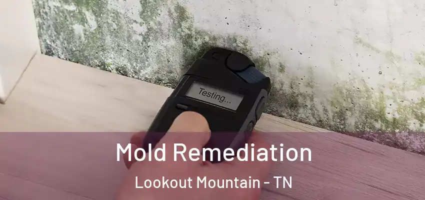  Mold Remediation Lookout Mountain - TN