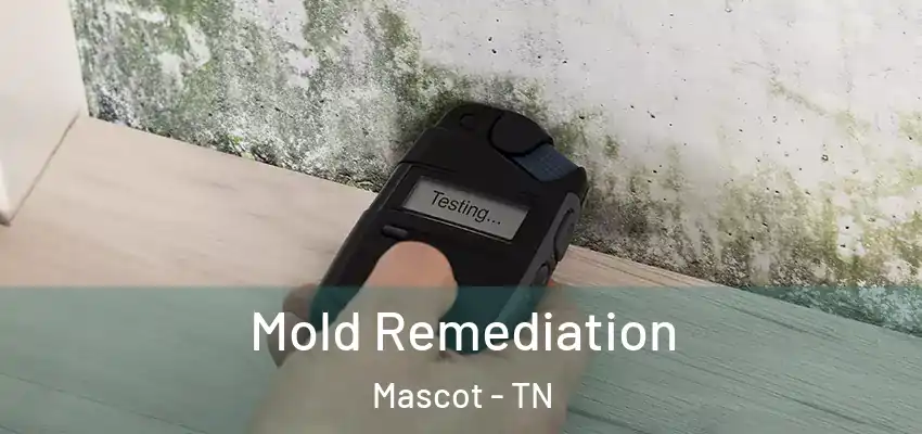  Mold Remediation Mascot - TN