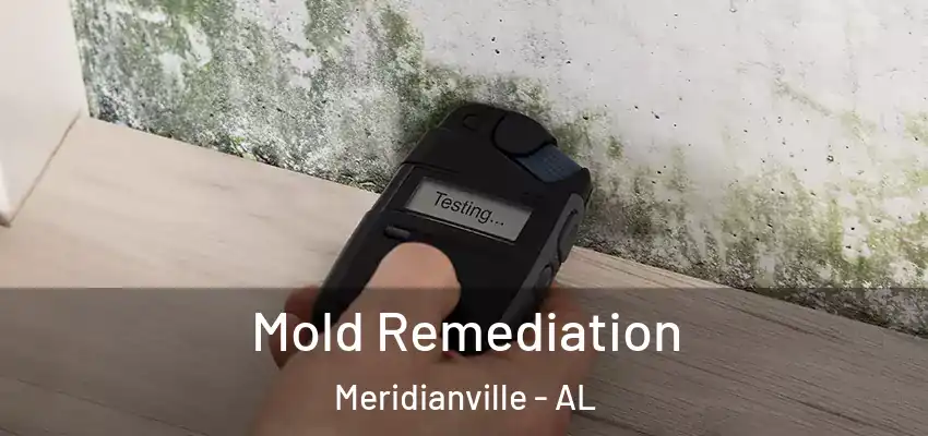  Mold Remediation Meridianville - AL