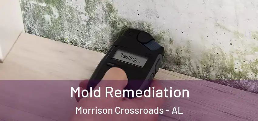Mold Remediation Morrison Crossroads - AL