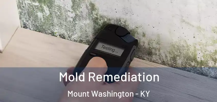  Mold Remediation Mount Washington - KY