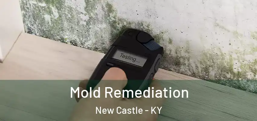  Mold Remediation New Castle - KY