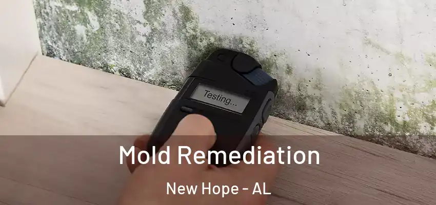 Mold Remediation New Hope - AL