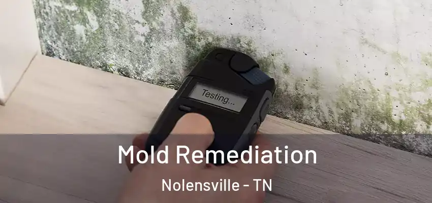 Mold Remediation Nolensville - TN