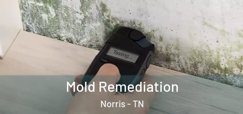  Mold Remediation Norris - TN