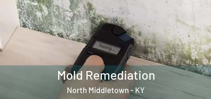 Mold Remediation North Middletown - KY