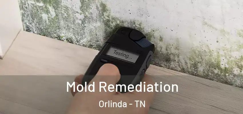  Mold Remediation Orlinda - TN