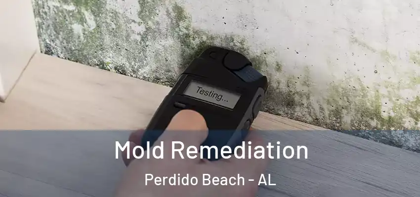  Mold Remediation Perdido Beach - AL