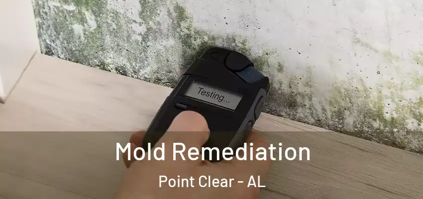  Mold Remediation Point Clear - AL
