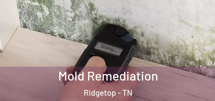  Mold Remediation Ridgetop - TN
