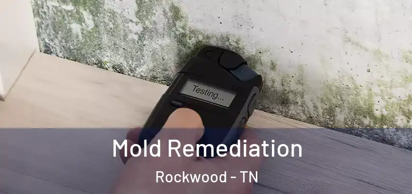  Mold Remediation Rockwood - TN