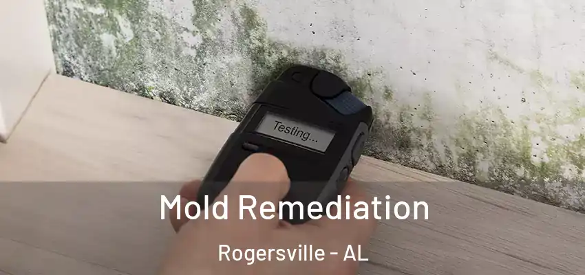  Mold Remediation Rogersville - AL