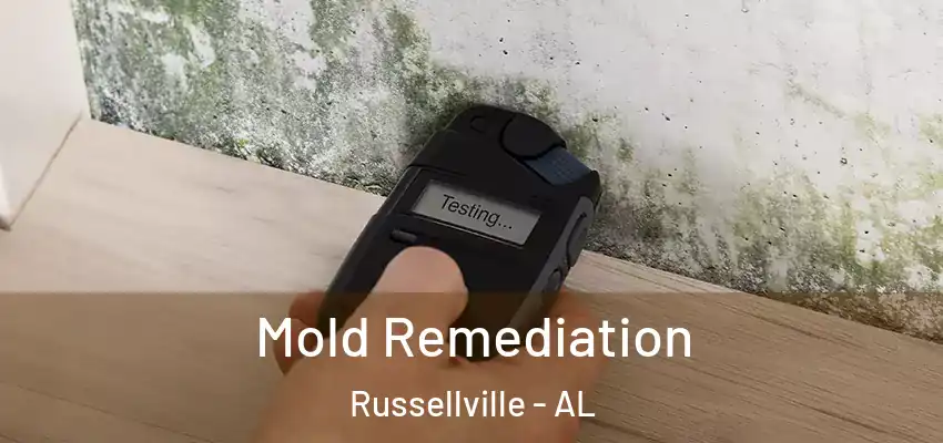 Mold Remediation Russellville - AL