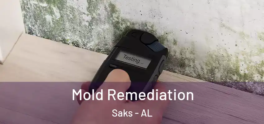 Mold Remediation Saks - AL