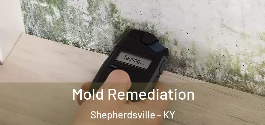  Mold Remediation Shepherdsville - KY
