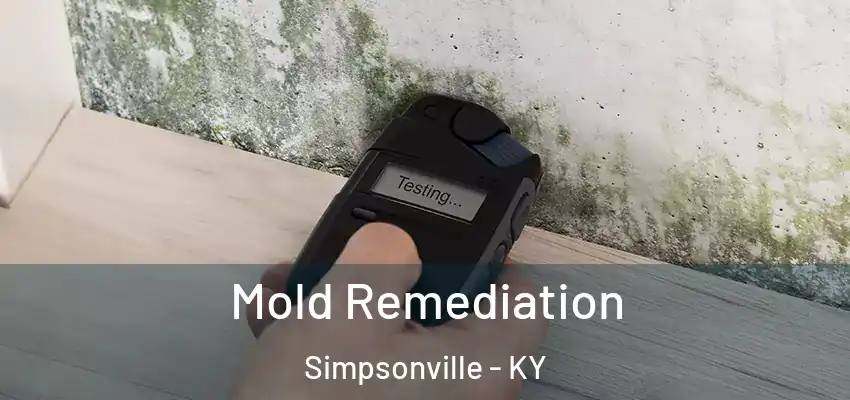  Mold Remediation Simpsonville - KY